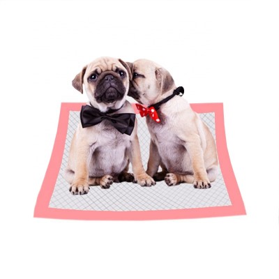 Pet Training Pee Underpad Puppy Disposable Pads Private Label Pad Can Be Customized Used For Puppy Training Large Dog Diapers